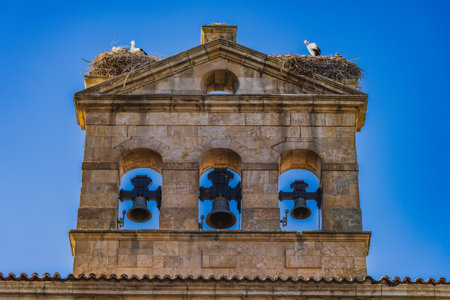 Convent of San Esteban in the city of Salamanca, in Spain.の写真素材