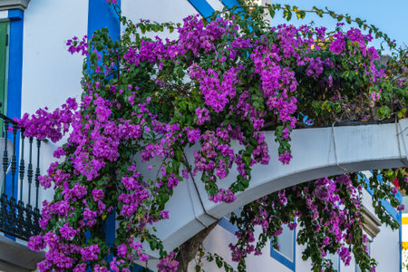 Colorful streets in the town of Puerto de Mogan, in Gran Canaria, Spain.の写真素材