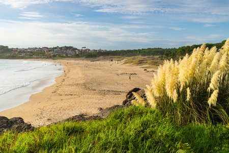 Portonovo, Spain, September 6, 2023. Montalvo beach in the municipality of Sangenjo in Pontevedra, Galicia.のeditorial素材