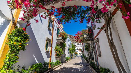 Street in the picturesque town of Puerto de Mogan, Gran Canaria, Spainの写真素材