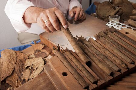closeup of hands making cigarの写真素材