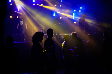 Silhouette of people dancing and talking in a music festival