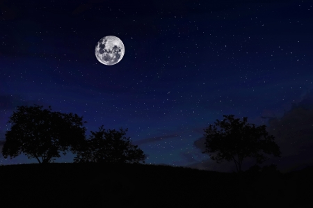 Full Moon on the Forest  Starry skies  Night scene  の写真素材