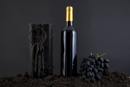 Wine Bottle with grapes in a traditional environment in a black backgroundの写真素材