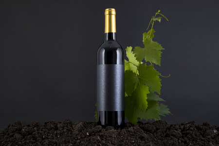Wine Bottle with vine in a traditional environment in a black backgroundの写真素材