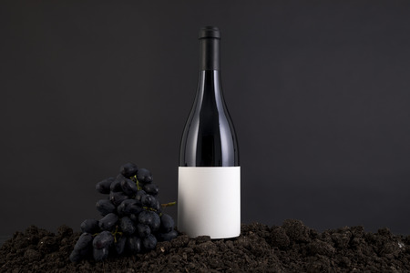 Wine Bottle with grapes in a traditional environment in a black backgroundの写真素材