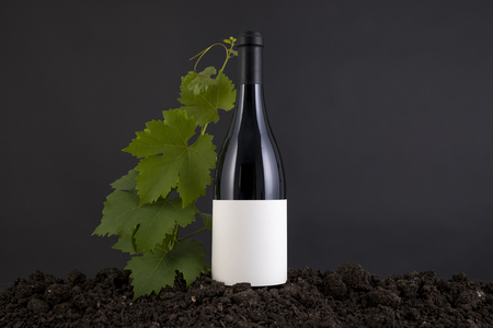 Wine Bottle with vine in a traditional environment in a black backgroundの写真素材