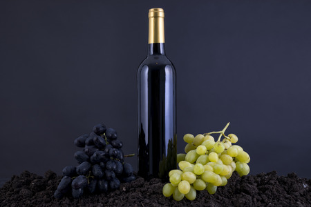 Wine Bottle with grapes in a traditional environment in a black backgroundの写真素材