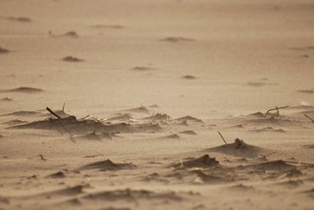 Storm wind lifts the sandの写真素材