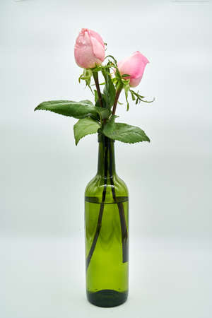 flowersの写真素材