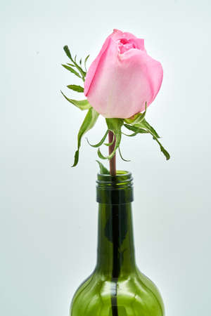 flowersの写真素材