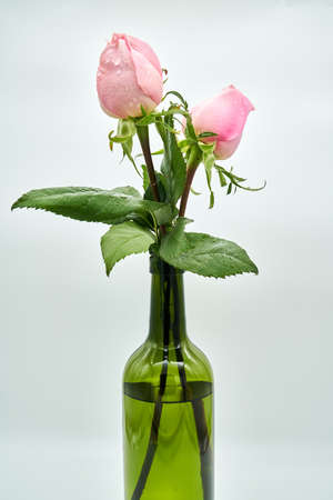 flowersの写真素材