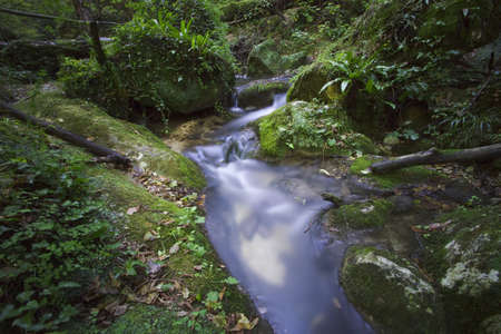 stream, long exposureの写真素材
