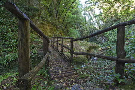 wooden bridgeの写真素材