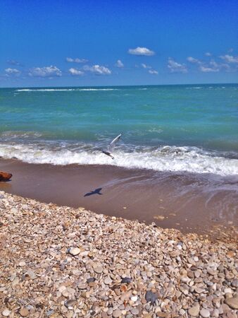 Summer by the seaの素材