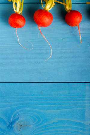 Rdish on Blue Wooden Background with Copy-Spaceの写真素材
