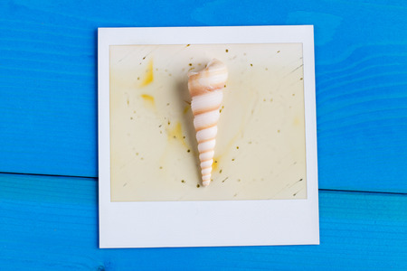 Polaroid Frame and Seashell on Blue Wooden Background with Copy Spaceの写真素材