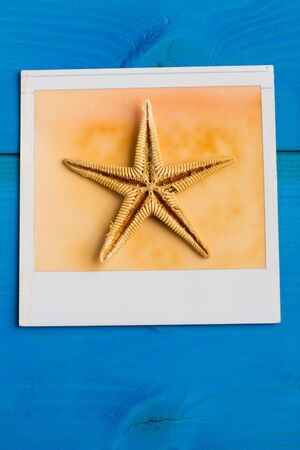 Snapshots of shellsの写真素材