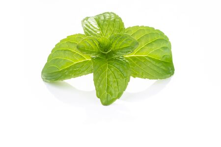 Sprig of fresh mint, freshly picked and placed on a white tableの写真素材