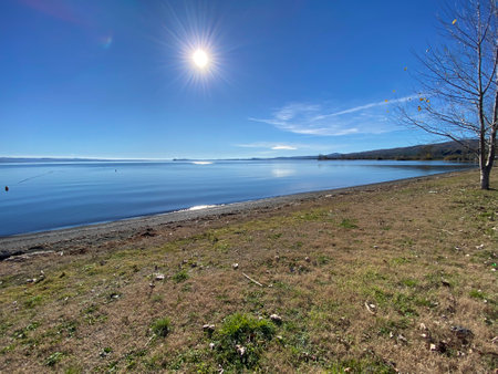 Sunlight glimmering on calm Lake Bolsena, dry grasses bordering rocky shoreline near Gradoli, Latium, Italyの写真素材