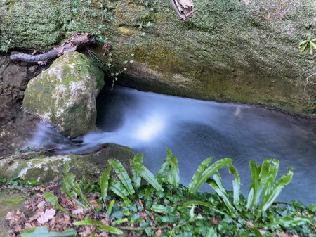 Mossy rocks and ferns frame a small stream in Serramonacesca, Abruzzo, Italy, where the flowing water creates a silky effectの写真素材