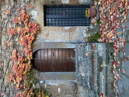 Weathered stone steps blanketed by fallen autumn leaves approaching wooden doorway, ivy-covered wall in historic Civita di Bagnoregio village, Italyの写真素材