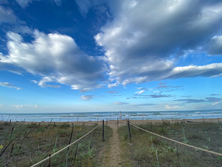 Sandy walkway winding toward shoreline, bordered by rope fence, lush greenery, overcast sky, Pineto coastal landscape, Abruzzo, Italyの写真素材