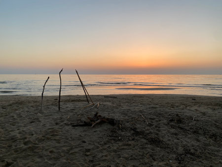 Weathered driftwood forming makeshift shelter on sandy shoreline during golden sunset in Pineto, Abruzzo, coastal landscapeの写真素材