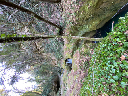 Natural gorge landscape featuring verdant trees surrounding rocky terrain near Serramonacesca, Abruzzo, Italyの写真素材