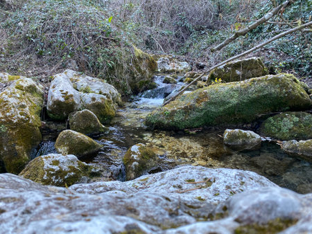 Tranquil stream flows over moss-covered rocks in a lush, wooded area near Serramonacesca, Abruzzo, Italy, creating a peaceful natural sceneの写真素材