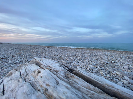 Driftwood rests on a pebble beach in Pineto, Italy, as the sun sets over the Adriatic Sea, creating a serene and picturesque sceneの写真素材