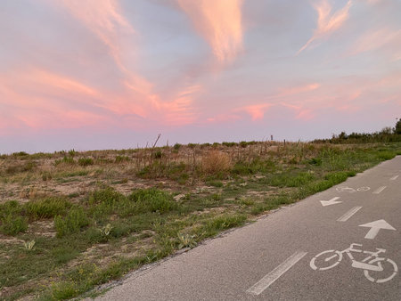 Bike path traversing golden wheat field, sunset casting pink clouds over rural landscape in Pineto, Abruzzo, Italyの写真素材