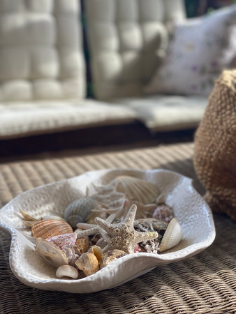 Various seashells and starfish create a charming centerpiece in a white ceramic bowl, evoking a relaxing coastal atmosphere in Pineto, Italyの写真素材