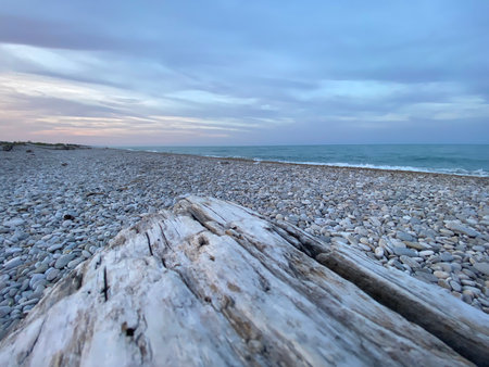 Serene sunset over the Adriatic sea in Pineto, Abruzzo, with a bleached driftwood log in the foreground, creating a peaceful and evocative sceneの写真素材