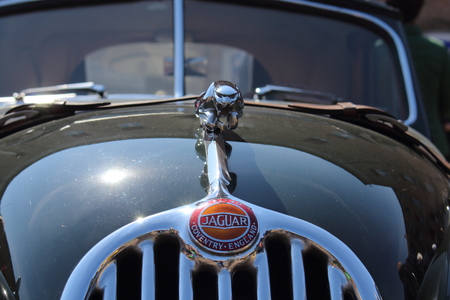 Ferrara, Italia - March 29, 2015: The photo was made at the \\\"Valli e Nebbie\\\", sporting event the march 29, 2015.のeditorial素材