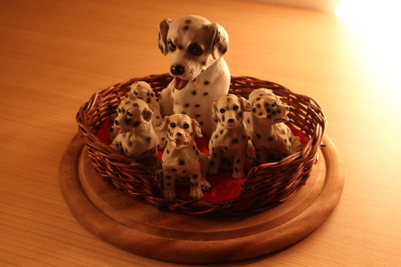 One Hundred and One Dalmatiansの写真素材