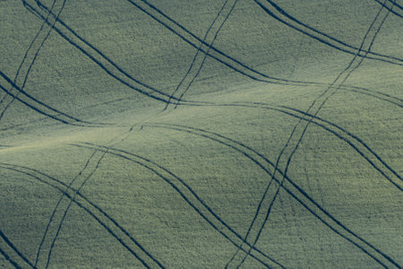 Natural texture with lines on a grassの写真素材