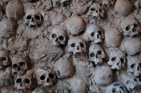 Teschi umaniの写真素材