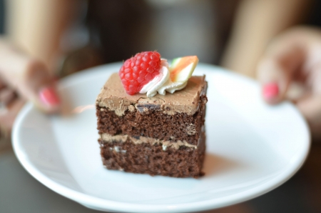 Raspberry chocolate cakeの写真素材