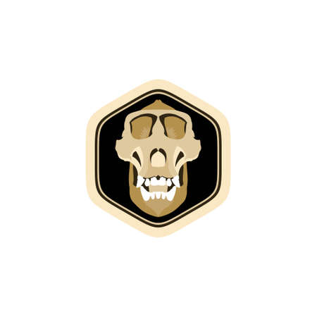 Skull face gorilla illustrationのイラスト素材