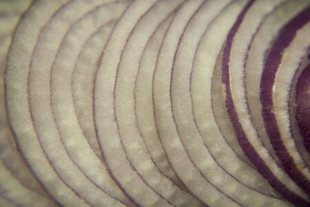 Abstract Food Art Pattern of Red Onion Cross-section photographed close-up and full frameの写真素材