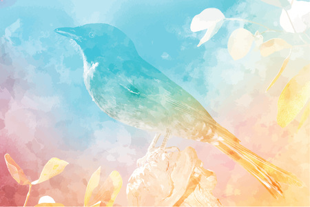 Robin perching on treeのイラスト素材