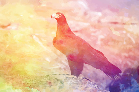 Red eagleのイラスト素材