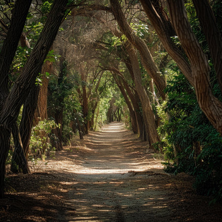 Forest walkway, dense trees on either side, dappled sunlight, front view, serene and naturalの素材