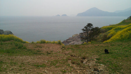 Geojeの写真素材