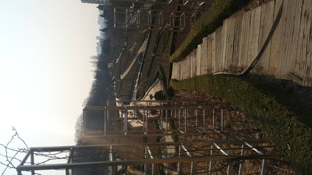 Parkの写真素材