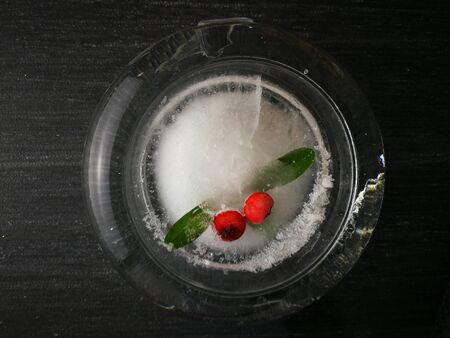 Frozen Red Berriesの写真素材