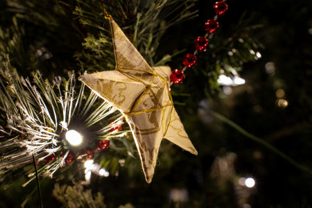 The Star Ornamentの写真素材