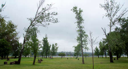 trees in a square by the lake on a rainy dayの写真素材