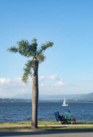 PALM TREE ON A WINDY DAY WITH AN ELDERLY COUPLE IN REST WATCHING THE LAKEの写真素材